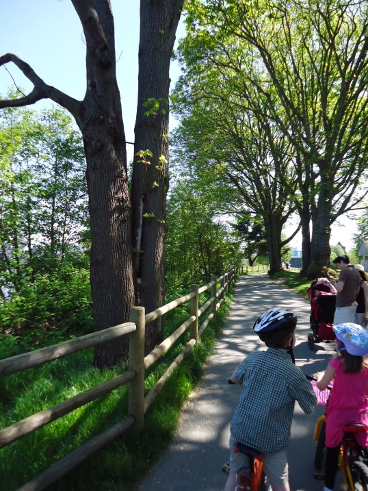 Kids fascinated by woodpecker in trees by English Bay